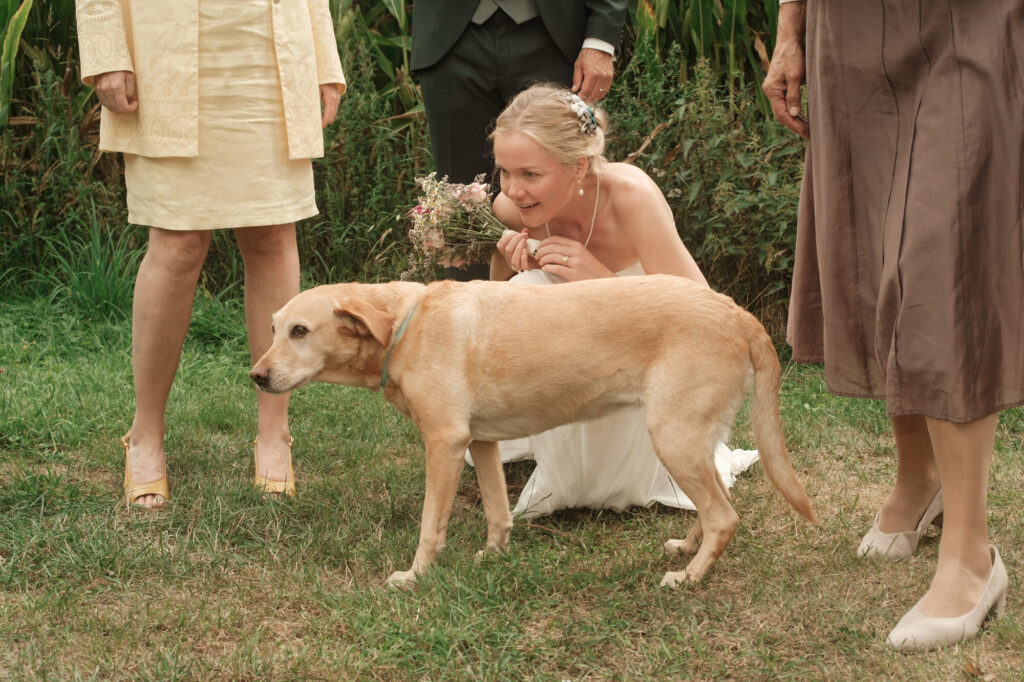 Braut kuschelt mit Hund Lotti, Hochzeit Anne & Phil auf dem Hof Gottschalk in Helpsen